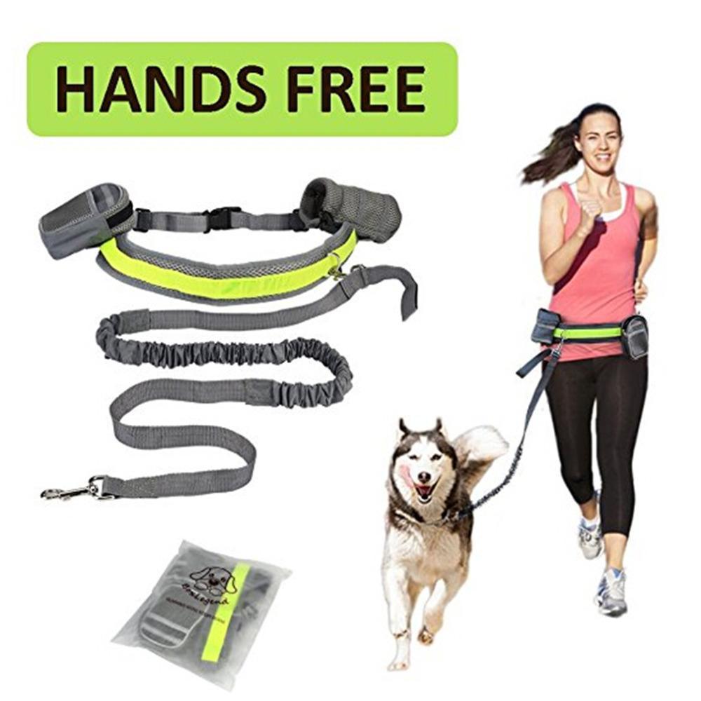 Adjustable Hands Free Dog Leash – The D Pet Studio